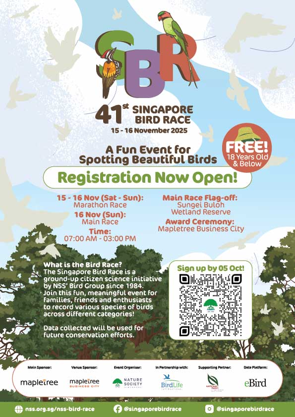 KV-Optimised-for-email-website